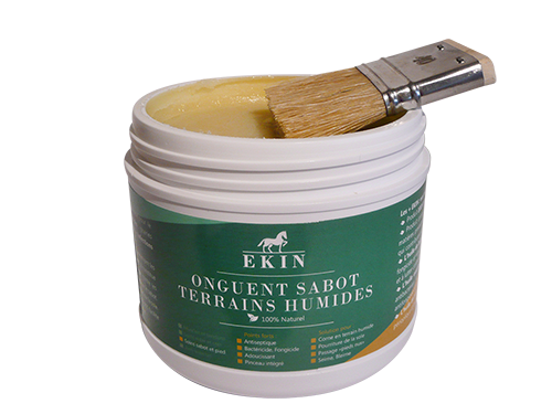 EKIN onguent terrains humides