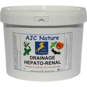 Drainage hépato-renal