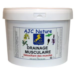 Drainage musculaire