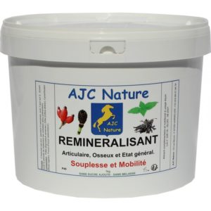 Reminéralisant